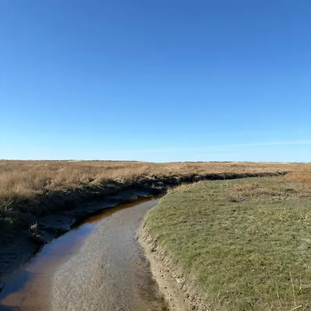 Grosszuegiges In Strandnaehe Im Herzen St. Peter-ordings Апартаменты *