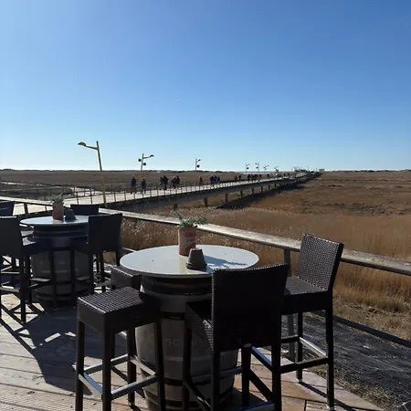 Großzügiges In Strandnähe Im Herzen St. Peter-ordings Apartment Sankt Peter-Ording