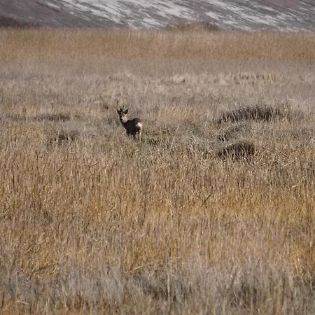 Grosszuegiges In Strandnaehe Im Herzen St. Peter-ordings * Санкт-Петер-Ординг